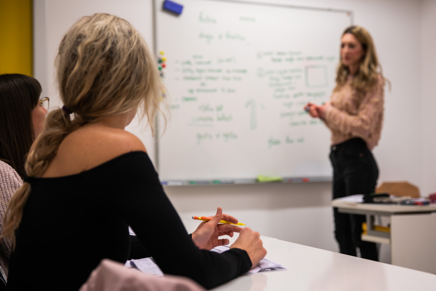 Kolika je cijena programa?